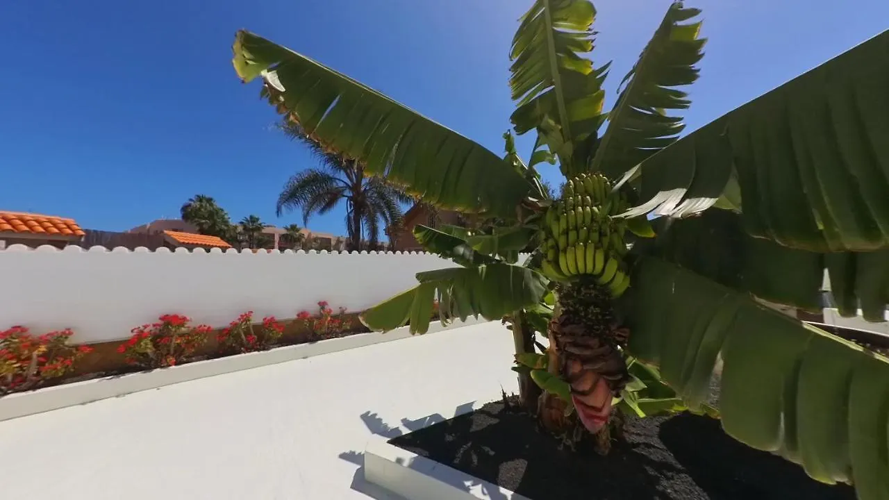 Апарт-отель Nautico Boutique Apartments, By Comfortable Luxury - Adults Only Коральео